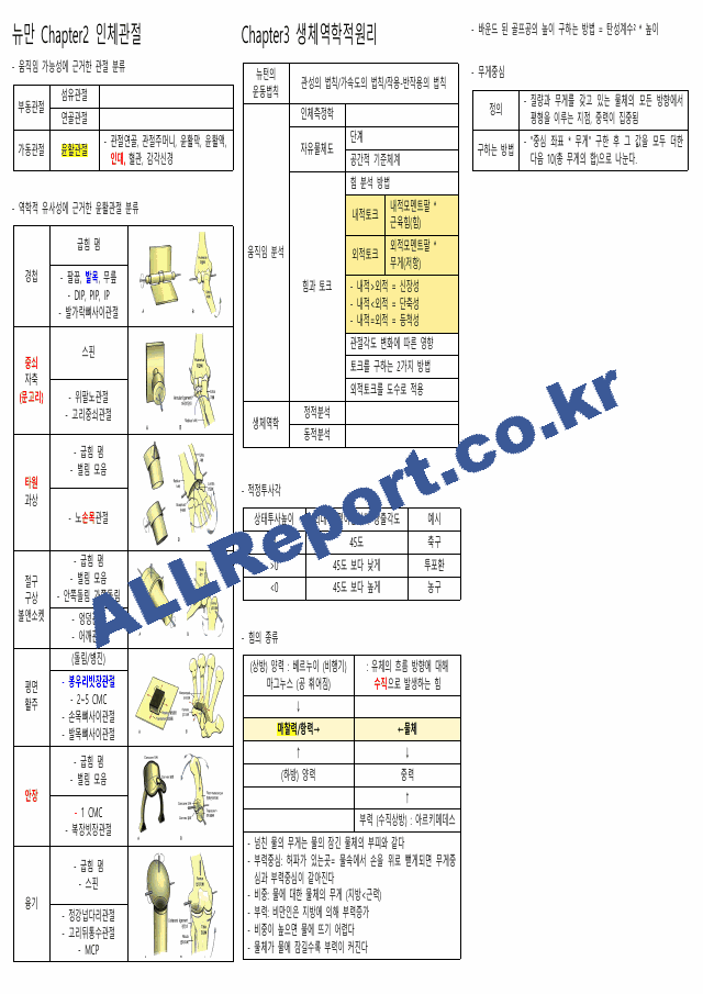 뉴만(해부학,운동학) 정리본(카셉시험) (2 페이지)